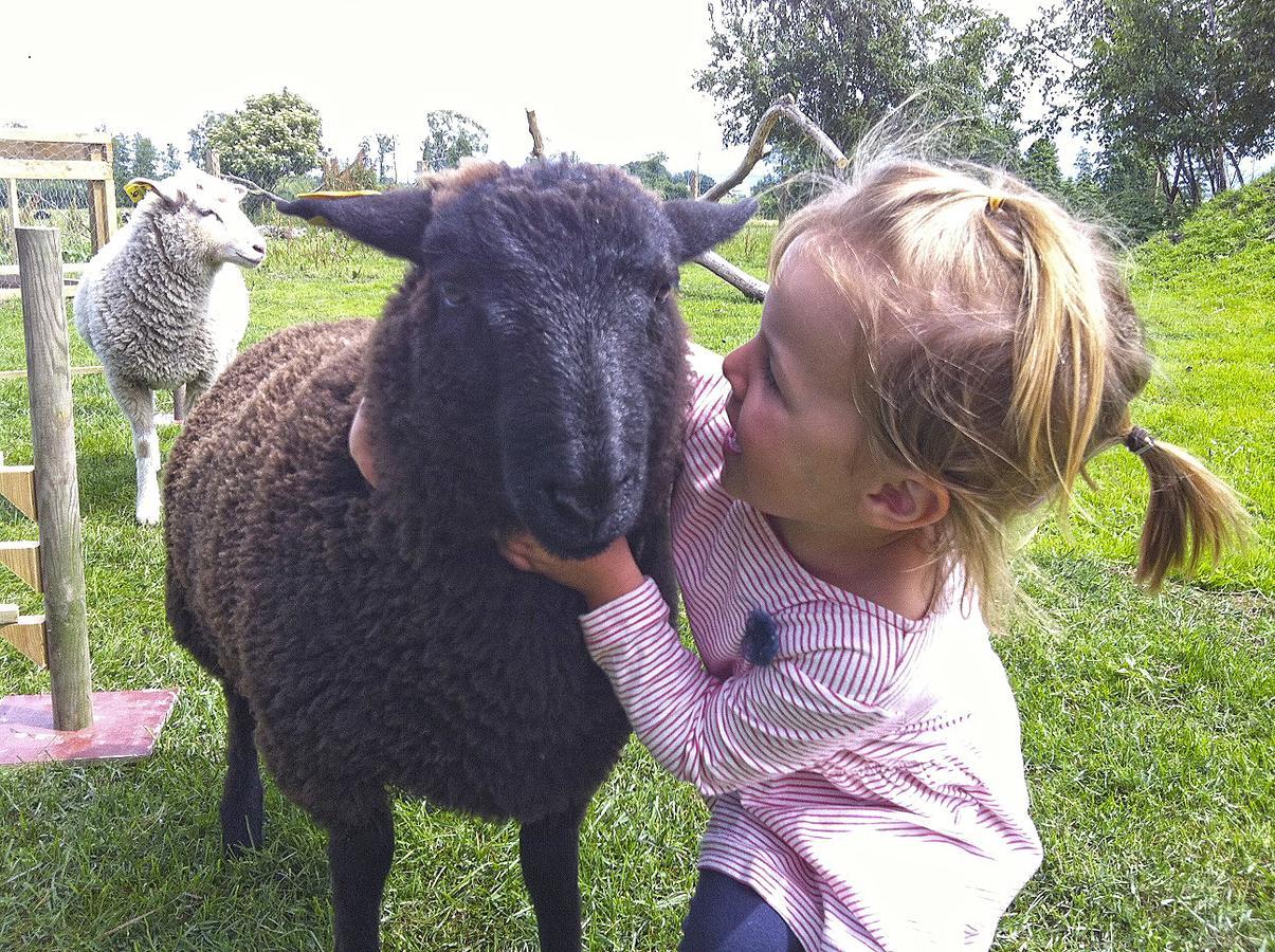 Lanthotell Loegnaes Gard